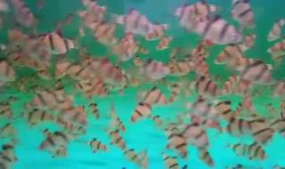 网店转让多少钱 网店转让多少钱