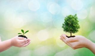 习惯一个人的生活 习惯一个人的生活