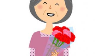 一束康乃馨图片 一束康乃馨图片