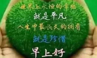 一夜入冬的经典语录 一夜入冬的经典语录