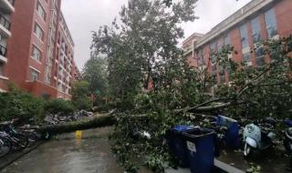 郑州大学专业排名