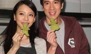 王力宏前妻 王力宏前妻