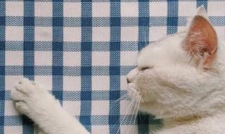 这世界有这么多的人 这世界有这么多的人