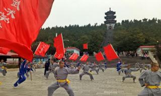 郑州国际少林武术节 郑州国际少林武术节