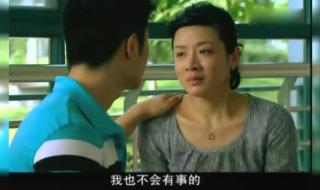 岳红主演的电视剧