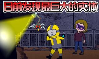 小怪物探险3 小怪物探险3