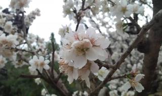 如何给手机杀毒 如何给手机杀毒