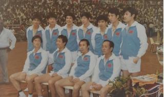 世界羽毛球四大天王 世界羽毛球四大天王