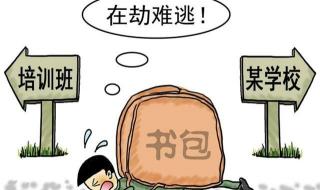 双减政策最新发布