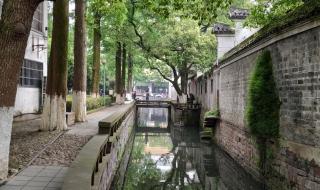 烟火人间在线播放